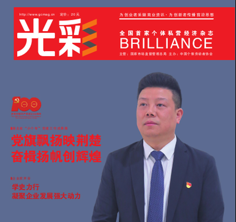 庆祝建党100周年增刊：湖北省“小个专”党建工作成果展